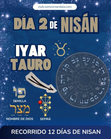 Diseños Club (1)