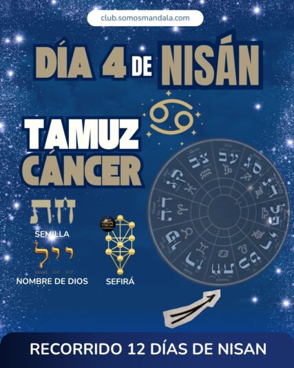 Diseños Club (3)