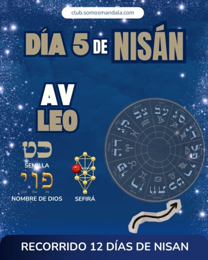 Diseños Club (4)