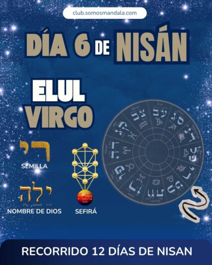 Diseños Club