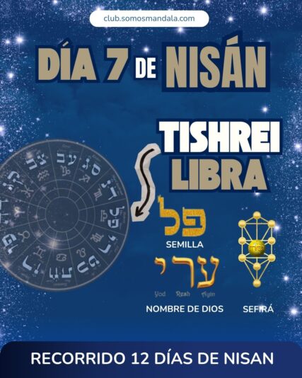 Diseños Club