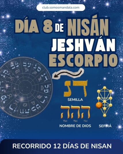 Diseños Club