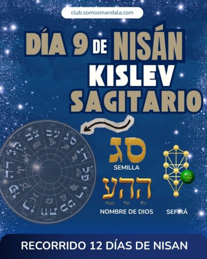 Diseños Club
