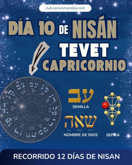 Diseños Club (1)