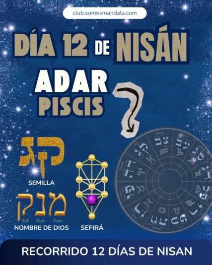 Diseños Club (1)