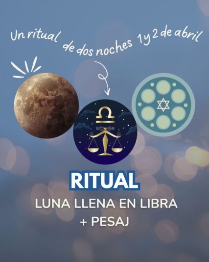 Diseños Club (2)