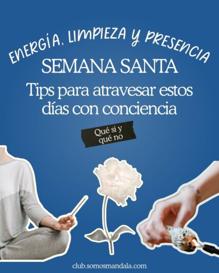 Diseños Club