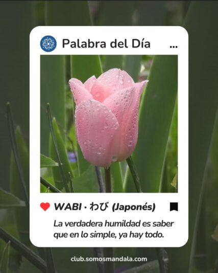 Palabra del día