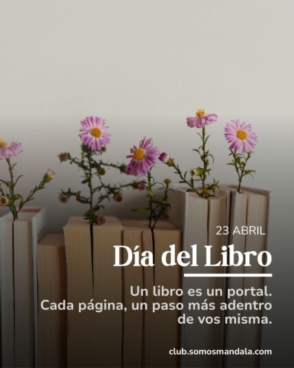 Diseños Club (1)