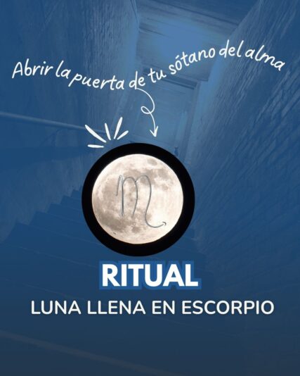 Diseños Club (2)
