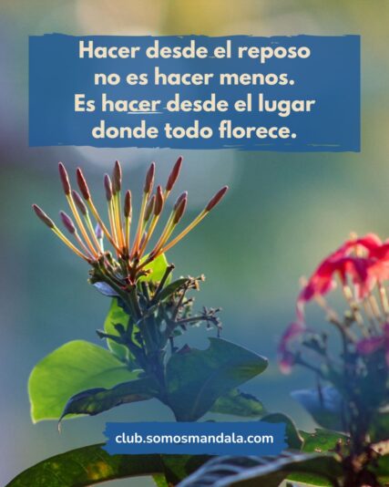 Frase con foto