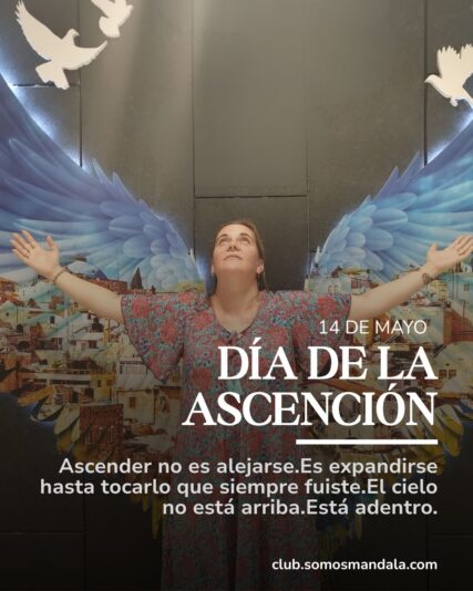 Diseños Club (1)