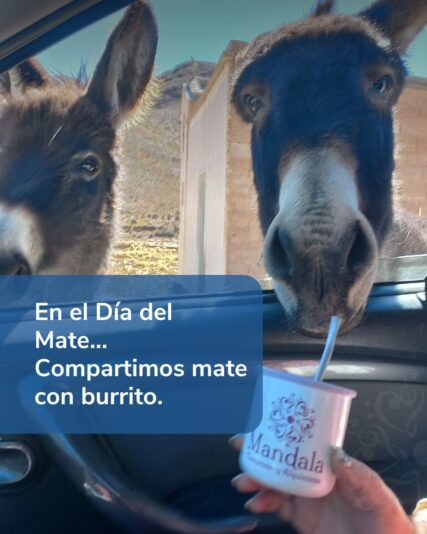 Frase del día