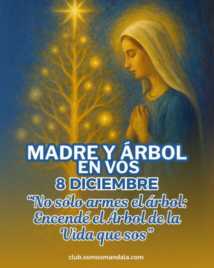 Efemérides reflexivas