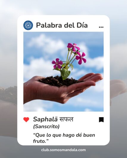 Palabra del día