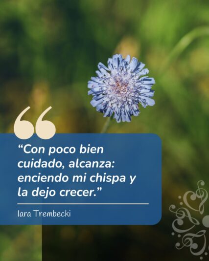 Frase del día