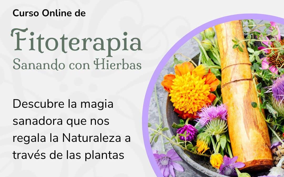 Fitoterapia, Sanando con Hierbas