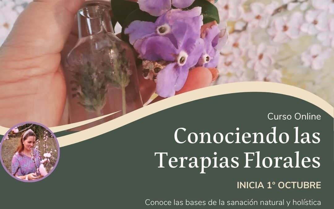 Conociendo las Terapias Florales