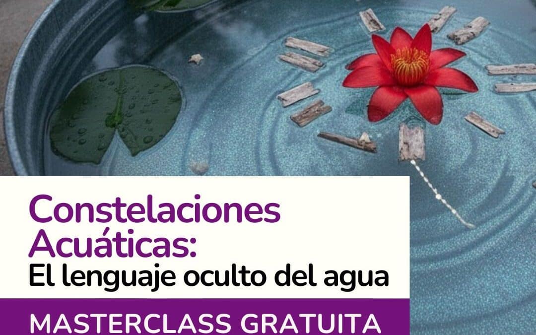 Constelaciones Acuáticas: El Lenguaje oculto del agua