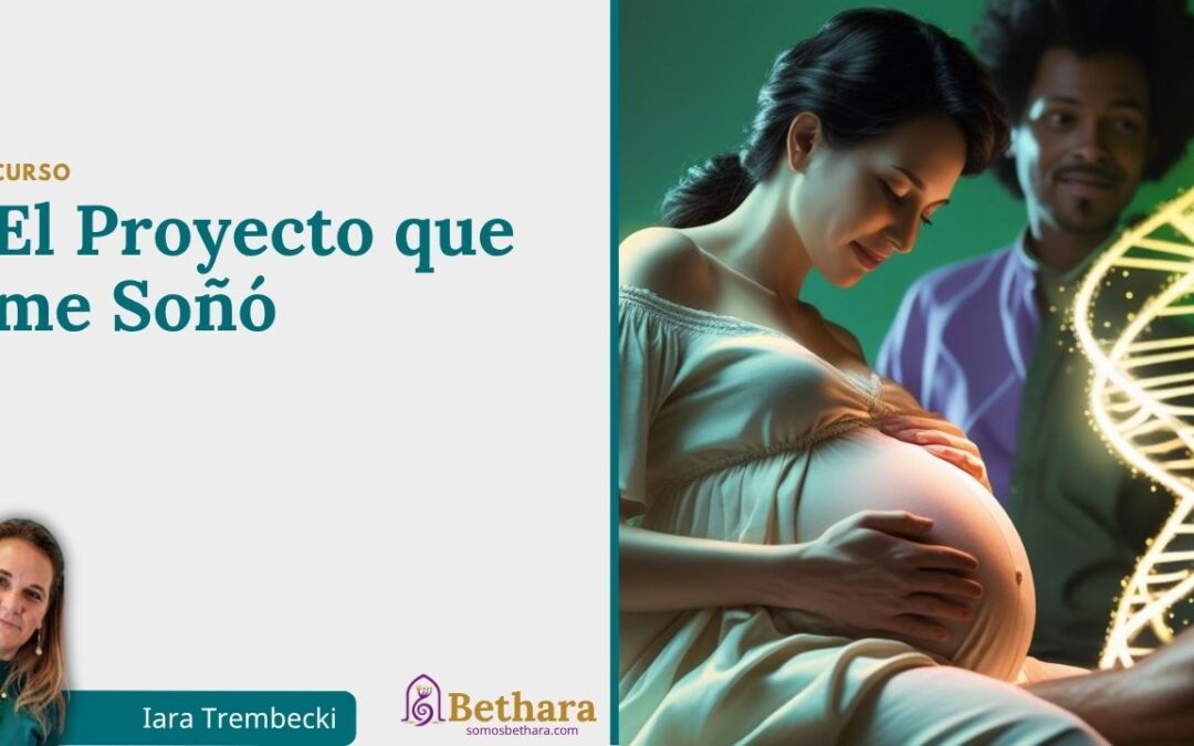 El Proyecto que me Soñó