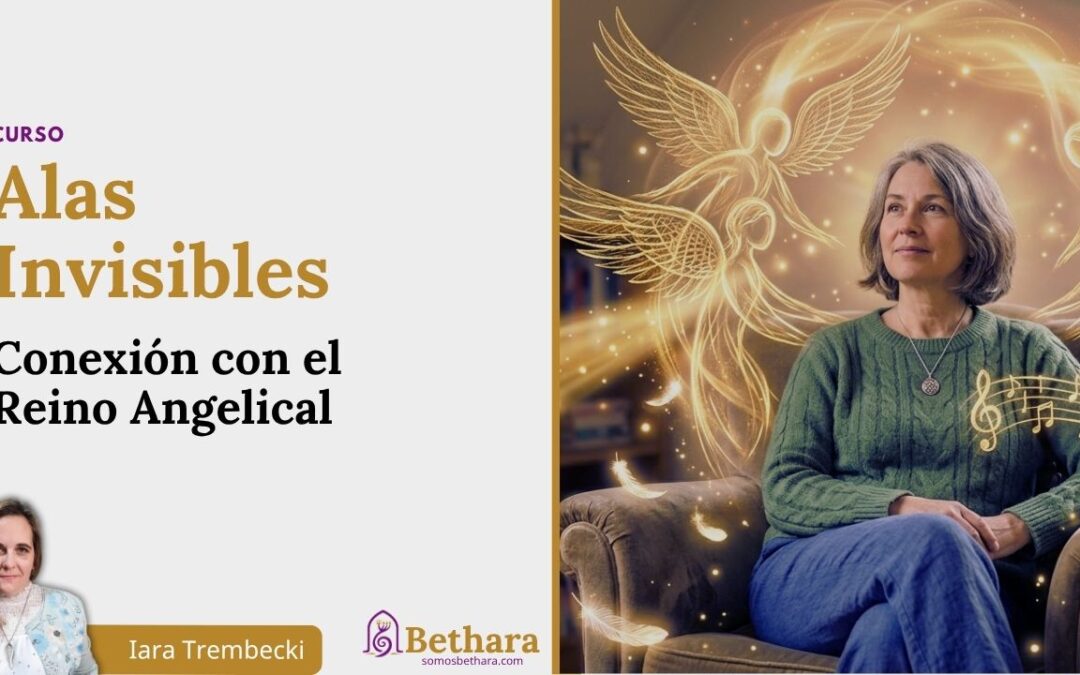 Alas Invisibles