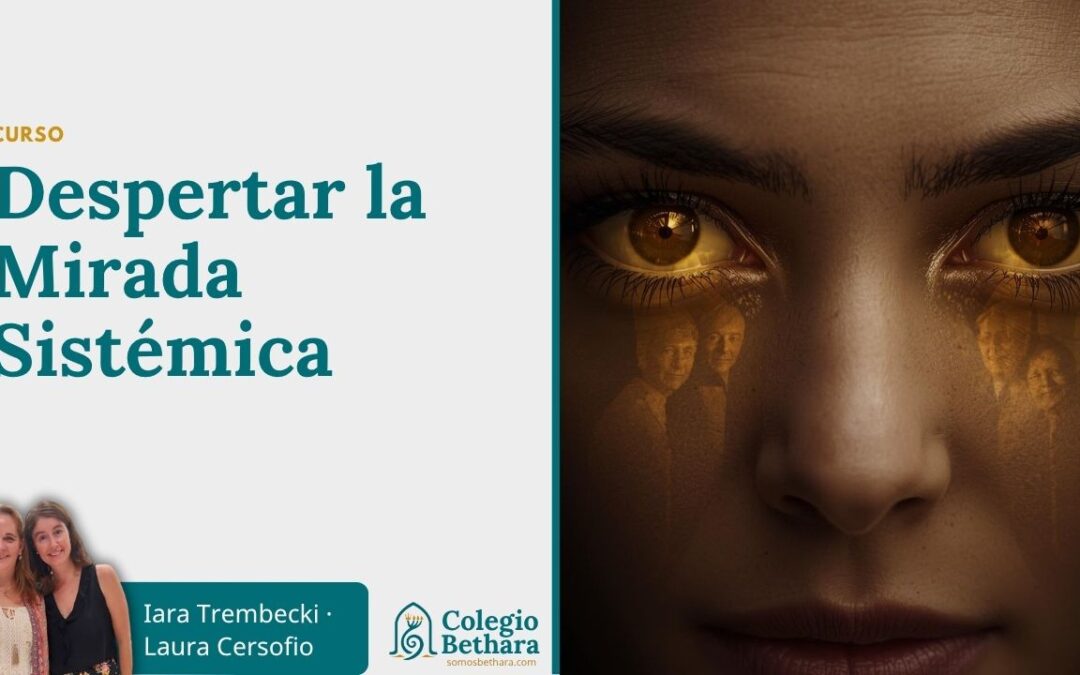 Despertar la Mirada Sistémica