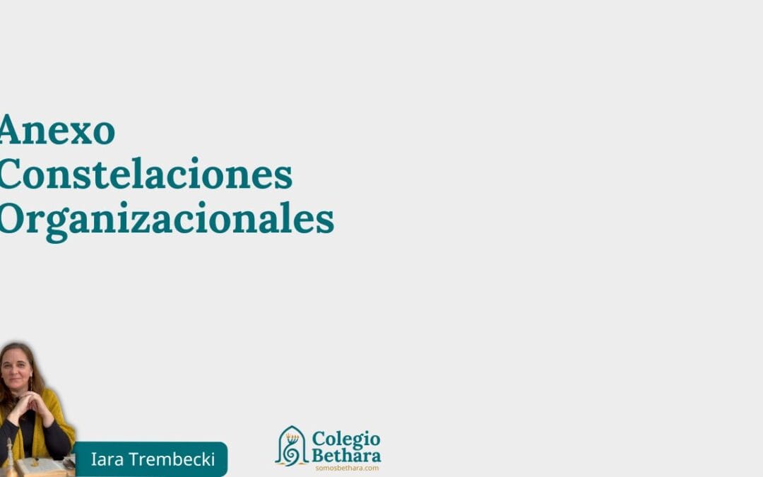 Anexo Constelaciones Organizacionales