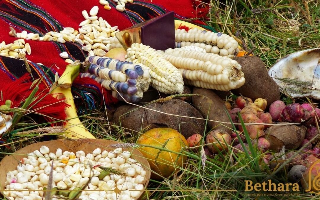 Pachamama y caña con ruda: agradecer la vida, devolver a la Tierra