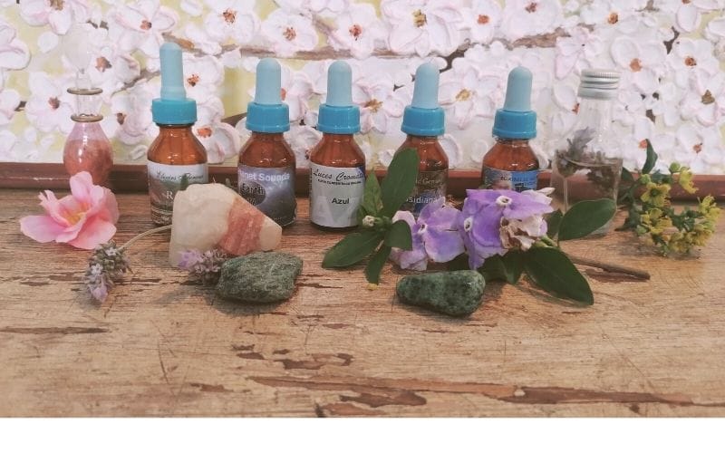 Terapias Florales